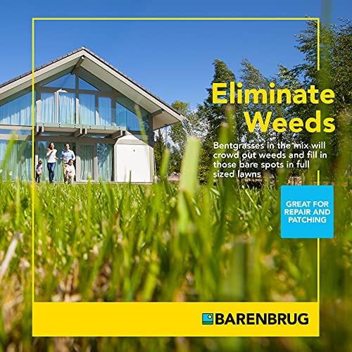 Barenbrug 25045 Bermudagrass Grass Seed for Sunny Areas and Humid Climates, 5 LB Bag