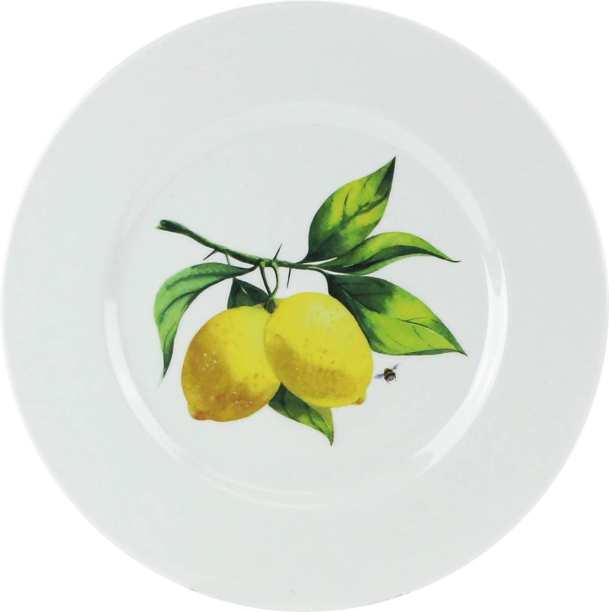 Calypso Basics Melamine Salad Plates Set of 6, 8.5 Inch, BPA-Free, Non-Toxic, Break-Resistant, Dishwasher Safe, Plates for Indoor & Outdoor Use