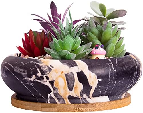 Succulent Pots, 7.3'' Large Bonsai Pots with Tray, Shallow Planters