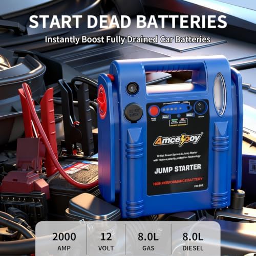 2000 Peak Amp Car Battery Jump Starter, 12V Booster for Up to 8.0L Gas & 8.0L Diesel Engines, Portable Jump Box with LED Light, USB & DC Ports