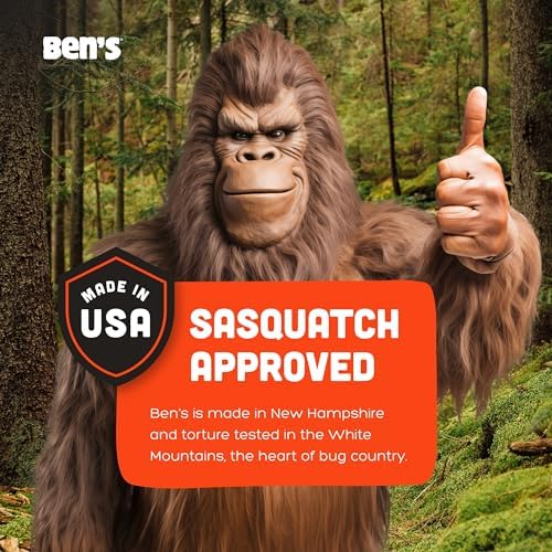 Ben's Tick & Insect Repellent Wipes, 30% DEET, 12 Wipes, 4 Pack