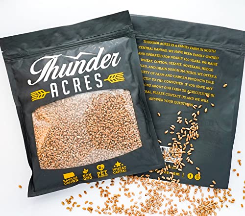 Thunder Acres Wheat Seed, Glysophate Free, Non GMO, Wheatgrass, Hard Red Winter Wheat Berries (10 lbs.)