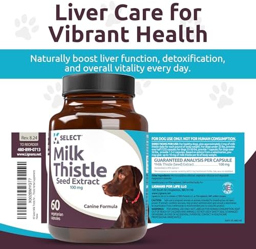 Milk Thistle for Dogs, 100mg - 60 Vegetable Capsules - Canine Liver Health Milk Thistle Supplement - Milk Herbal