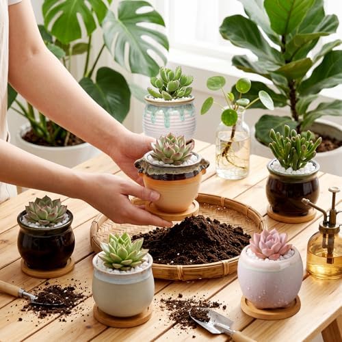 2.1 Inch Ceramic Small Succulent Pot,Plant Pots,Mini Flower Pots | Ceramic Succulent Pots with Drainage,Small Planter for Mini Plant Flowing Glaze Base Serial Set with Holes for Indoor,Outdoor