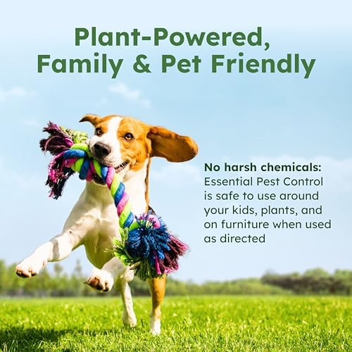 BugMD Ant Killer and Bug Spray Concentrate - Plant-Powered (3.7 oz)