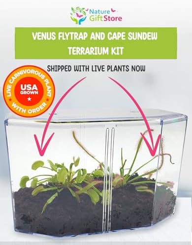 Venus Fly Trap and Sundew Live Plant Set with Terrarium and Food Bundle | 2 carnivorous plants together, protein-packed food