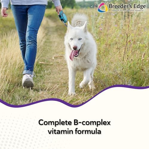 Breeder’s Edge B Strong Powder, B-Complex Vitamin Supplement for Dogs and Cats, Supports Reproductive Health, Promotes Normal Heat Cycles, and Helps Maintain Energy, 300g