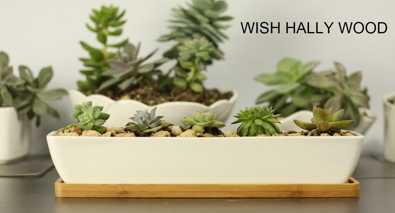 11inch Long Rectangle White Ceramic Succulent Planter Pots,with Bamboo Saucers. Product Size:11x2.23x1.69inch.