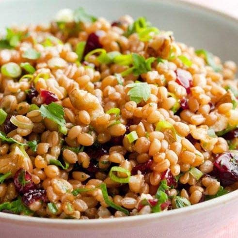 1000 SPRINGS MILL - Organic Hard Red Spring Wheat Berries - Used for Organic Flours, Cereals, Salads