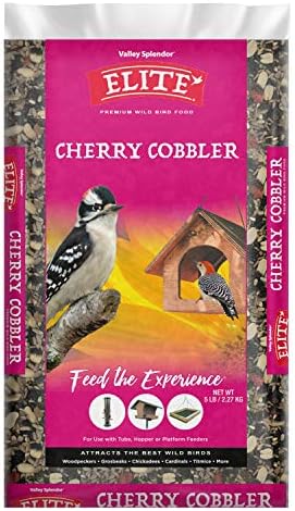 Cherry Cobbler