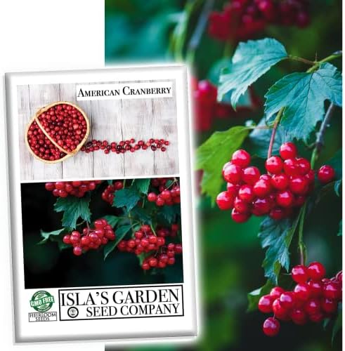 American Cranberry Bush Seeds (Viburnum trilobum) – 25+ Heirloom Seeds per Packet by Isla’s Garden Seeds, Hardy Shrub with Red Berries