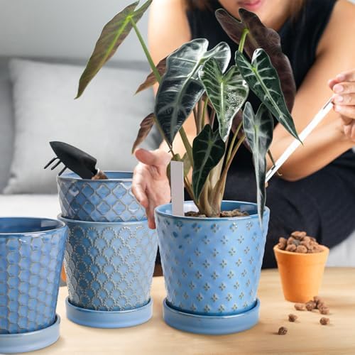 EFISPSS Ceramic Plant Pots, 5 Inch Planters with Drainage Holes and Ceramic Tray, Relief Design Flower Planter