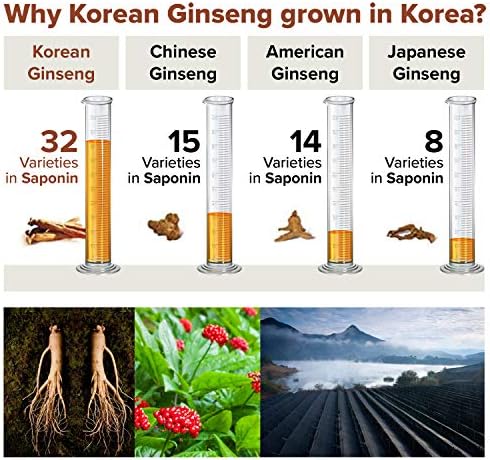 Saponin Hanppuri Everyday Korean Red Panax Ginseng Extract Stick - 3000mg High Potency Liquid Supplement - Caffeine Free Energy & Immune Support
