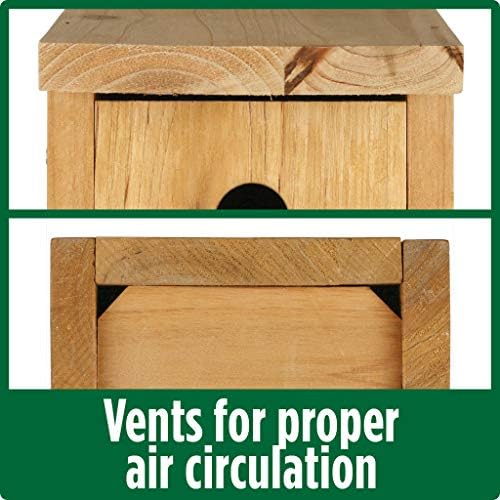 Nature's Way Cedar Box Wren House with Clean-Out Door, Wild Bird House and Outdoor Décor, Brown