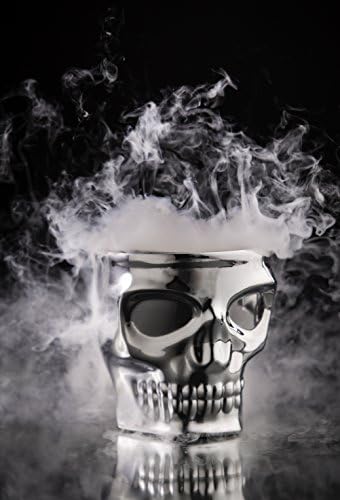 The Skull Kustom Kaddy Chrome Perch Mount