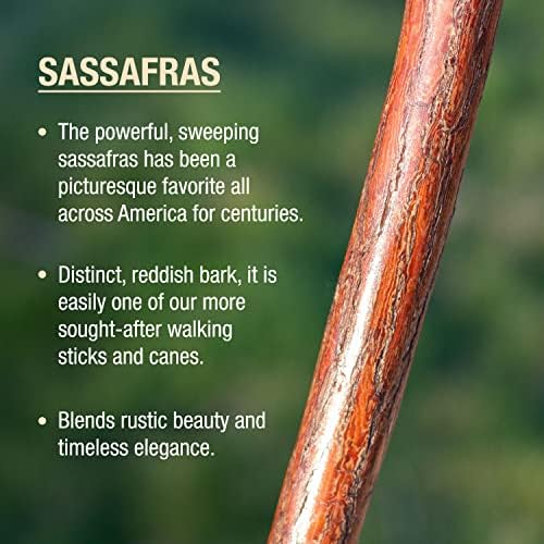 Brazos Rustic Wood Walking Stick, Maple, Traditional Style Handle, for Men & Women, Made in The USA, 55"