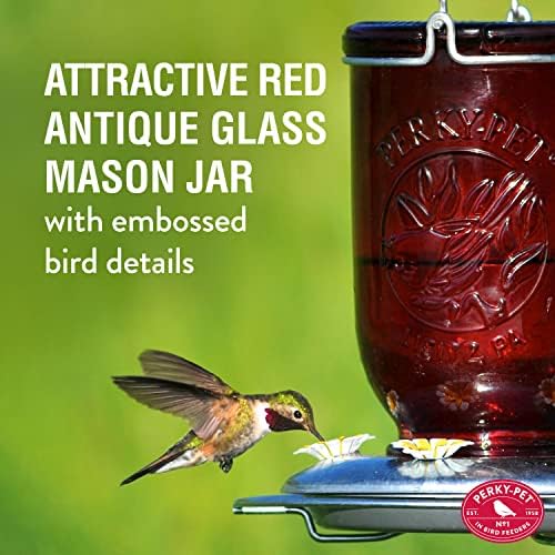 Perky-Pet Mason Jar Hummingbird Feeder, 32 oz Nectar Capacity | Vintage Style Glass Bird Feeder, 5 Flower Feeding Ports, Outdoor Garden Backyard Wildlife