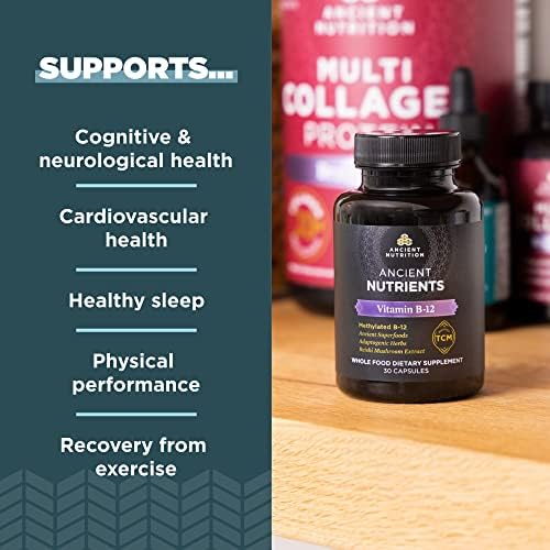 Ancient Nutrition Methylated Vitamin B12 Supplement, Supports Energy | Supports Energy Metabolism and Nervous System Health, Adaptogenic Herbs