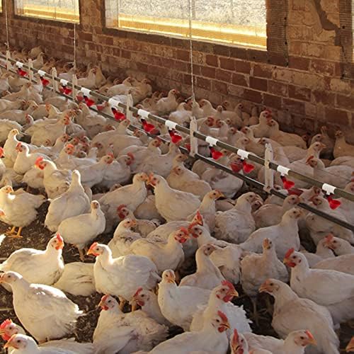MEWTOGO 20 Pcs Chicken Waterer PVC Pipe Tee Fittings for Large Chicken Coop