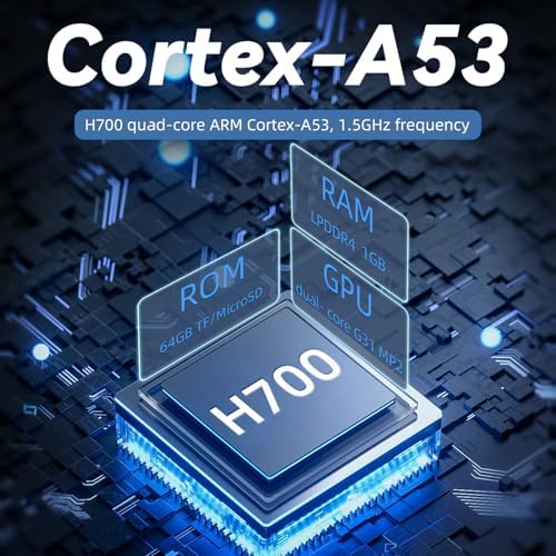 Doriteney RG40XX H Retro Handheld Game Console 4.0-inch IPS Screen Linux System Game Player 64GB Card Preloaded 5000+ Games RGB Lighting 3200mAh Battery RG40XX H-Black