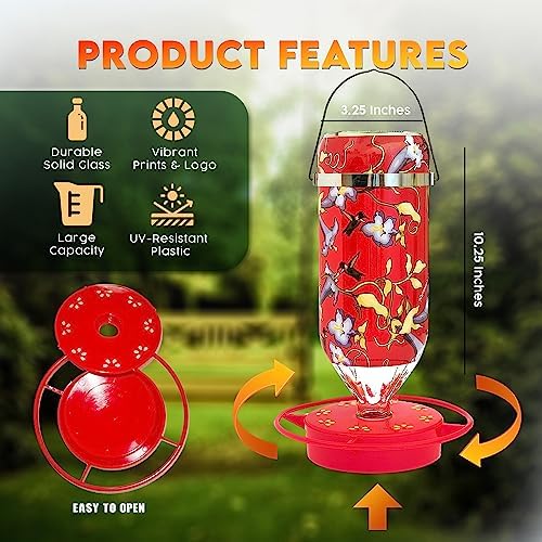 Hummer's Galore Hummingbird Feeders for Outdoors Hanging, Glass, 32 OZ, Vine Design