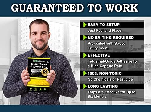 MaxGuard Glue Trap Strips (24 Traps) Non-Toxic Extra Sticky Glue Board Pre-Baited with Fruity Scent Attractant Trap & Kill Insects, Bugs, Spiders