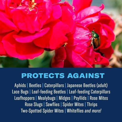 BioAdvanced 3-in-1 Insect, Disease, and Mite Control Spray - 24 fl oz | Insecticide, Fungicide & Miticide - Ready-to-Use - Prevents Pests and Diseases - Up to 30 Days Protection Bottle