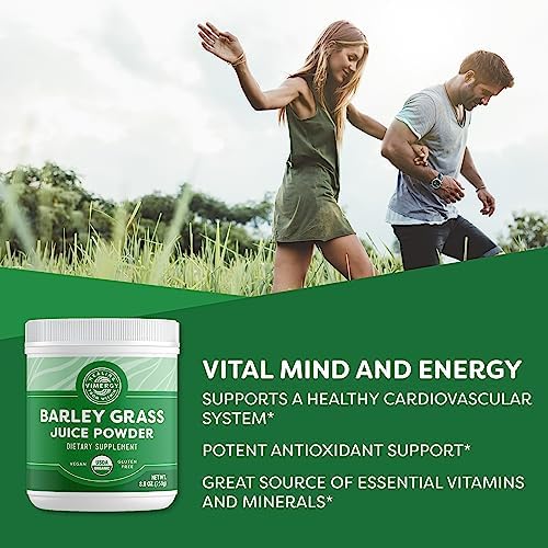 Vimergy Barley Grass Juice Powder, Organic Superfood, 250g, 63 Servings | Clean Nutrient-Dense Superfood*, Powerful Antioxidants for Cardiovascular Health*, Vegan, Gluten-Free