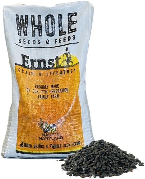 Ernst Grain & Livestock Black Oil Sunflower Seeds - Birdseed for Outside Feeders Wild Bird Food - Ideal Bird Seed for Cardinals
