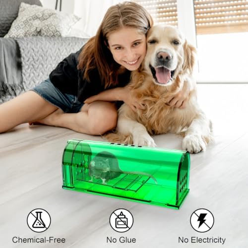 4 Pcs Humane Live Mouse Traps No Kill Reusable Mice Trap Catch