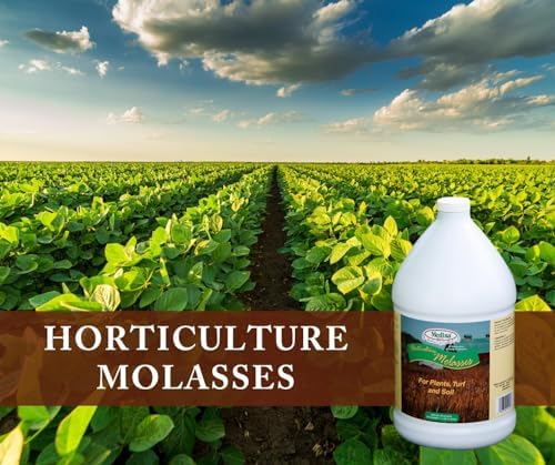 Medina Horticultural Molasses 1200 Sq. Ft. Liquid Qt