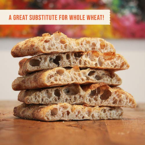 Organic 100% Whole Wheat Hi-Pro Fine Flour – 25 lb. bag