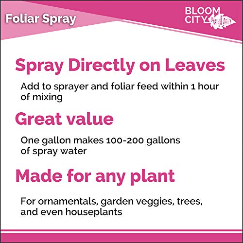 Bloom City Supergreen Organic Kelp Foliar Spray – Liquid Plant Supplement for Faster Nutrient Uptake, Greener Leaves & Vigorous Growth, 32 oz