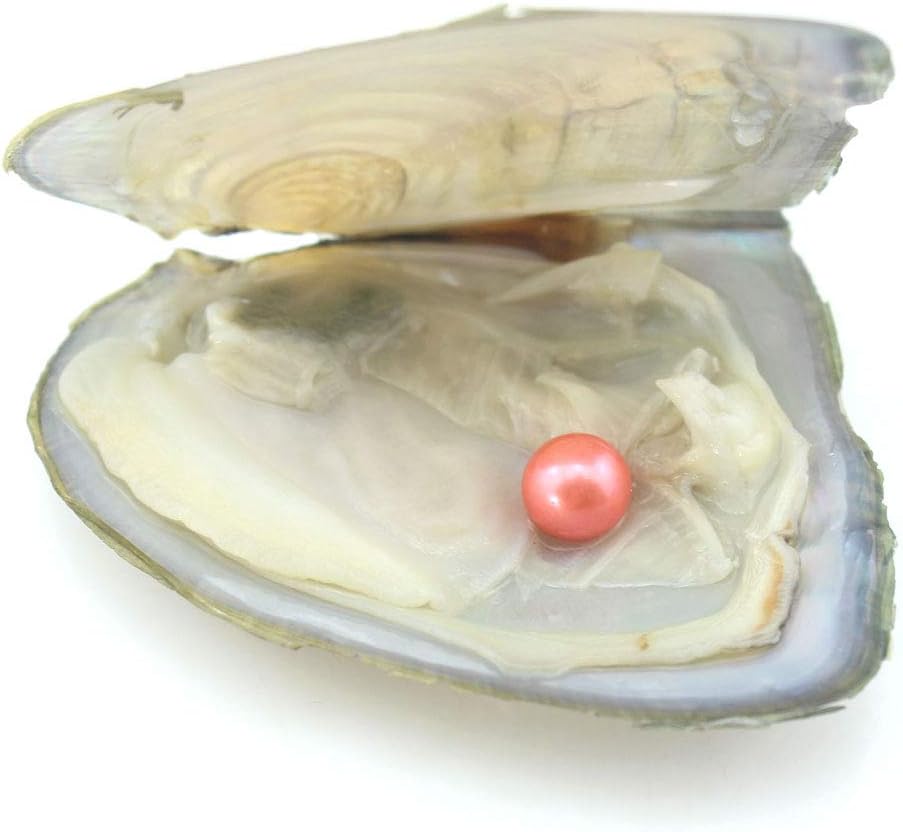10PC Freshwater Pearl Cultured Oyster with Round Pearl Inside for Gift, Fun for Children, Family, Friends, Party (6-8mm, 10PC)