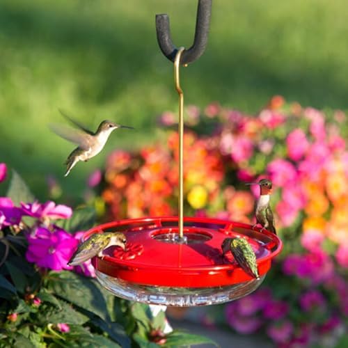 Aspects HummZinger Highview Hanging Hummingbird Feeder - 429, Red,12 oz (Pack of 2)