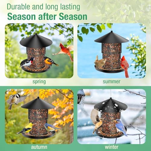 Bird Feeder for Outdoor Hanging