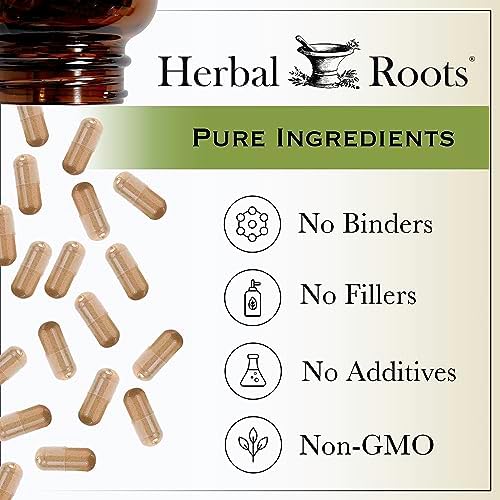 Herbal Roots Organic Apple Cider Vinegar Capsules with Mother - Pure Extra Strength - 60 Vegan Capsules