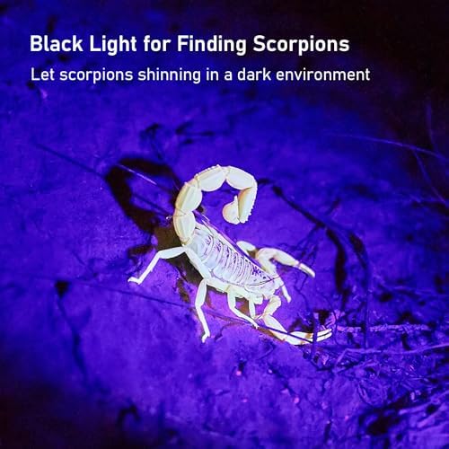 GLOSSDAY Blacklight Flashlight,128 LED UV Flashlights, Upgraded Bright Ultraviolet Flashlight Professional Black Light for Dog/Cat, Hunting Scorpions