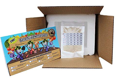 NaturesGoodGuys Beneficial Nematodes Steinernema feltiae SF - 5 Million