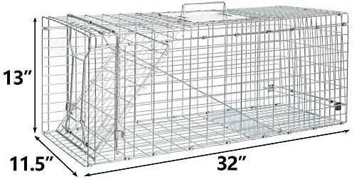 ANT MARCH 32'' Live Animal Cage Trap with Gloves Steel Humane Release