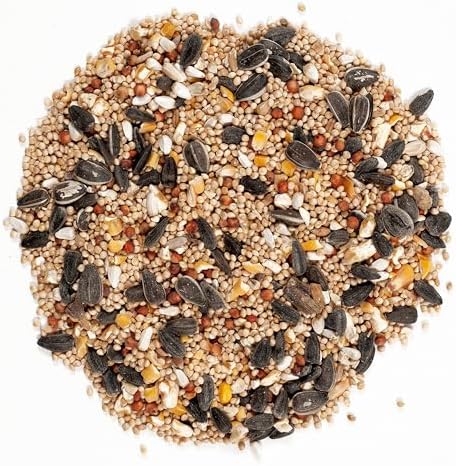 Wagner's 62004 Eastern Regional Wild Bird Food, 20-Pound Bag