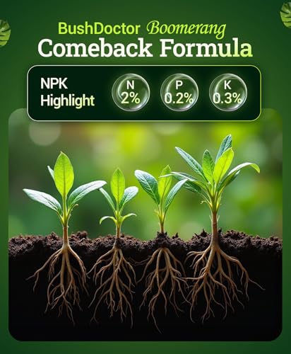 FoxFarm Bush Doctor Boomerang - 2-0.2-0.3 Comeback Formula - Microbial-Based Liquid Plant Fertilizer for Root Zone Support, Immediate Nutrient Uptake - Helps Plants Recover from Abiotic Stress-1 Pint