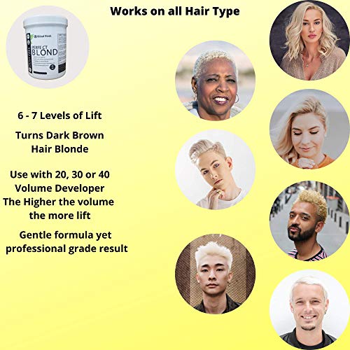 1.1 Pound Tub (17.6 Ounce) Perfect Blond Extra Strength Professional Hair Dye Toner Lightener Bleach - Made in Italy