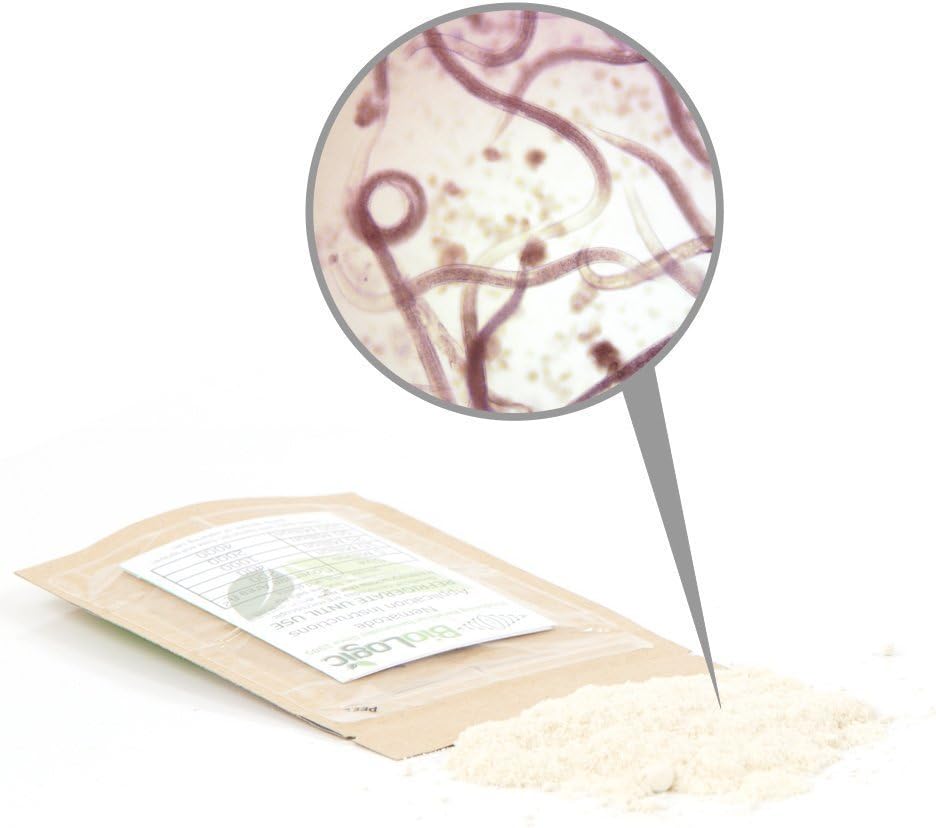 BioLogic's Scanmask Steinernema Feltiae (Sf) Beneficial Nematodes for Natural Insect Pest Control, 5 Million Size