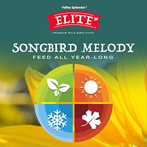 Songbird Melody