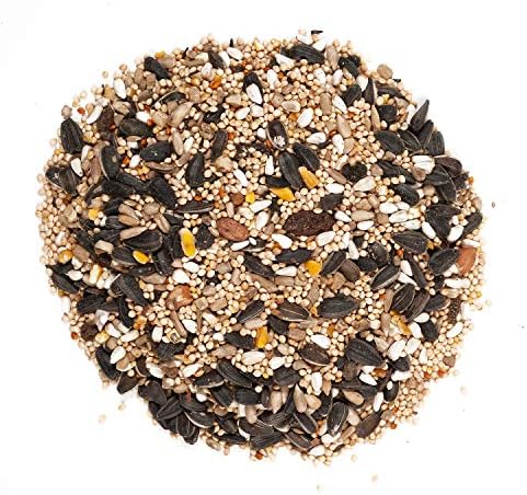 Wagner's 62034 Greatest Variety Blend Wild Bird Food, 6-Pound Bag