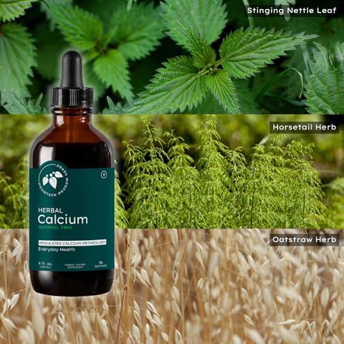 Mountain Meadow Herbs Herbal Calcium – Vegan Liquid Calcium Supplement for Bone & Teeth Support, High Absorption Plant-Based Formula for Adults & Kids - 2 oz