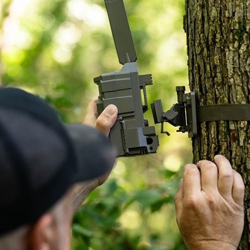 TACTACAM Reveal Tree Mount