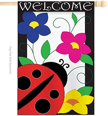 Breeze Decor Two Group HS104059-P2-03 Spring Ladybug Garden Friends Bugs & Frogs Applique Decorative Vertical 28" x 44" Double Sided House Flag Set