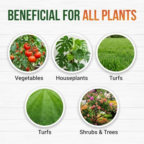 GS Plant Foods Turbo Bio-Blend Organic Soil Amendment Premium Brown 3 lbs